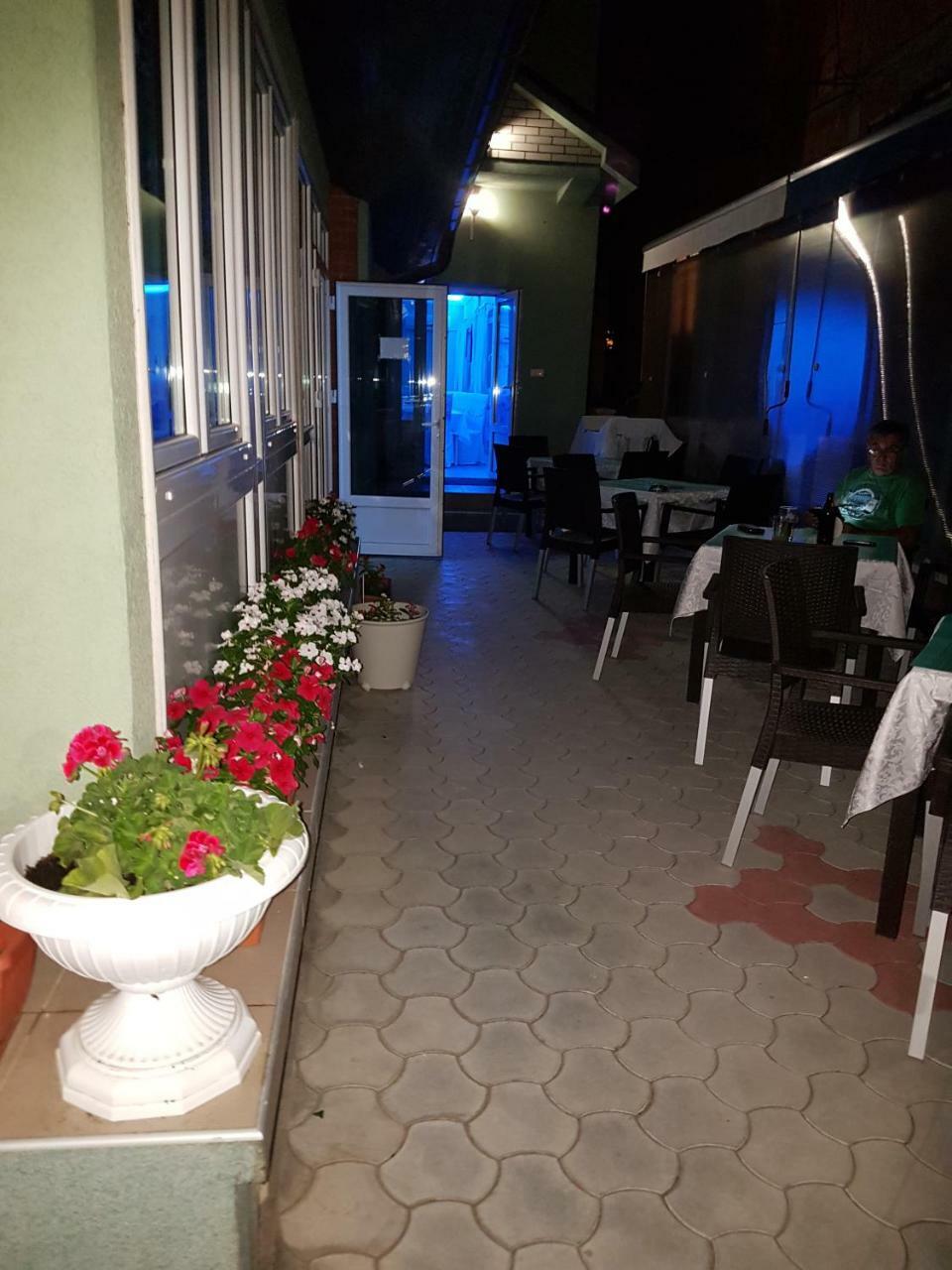Golden Danube Bed and Breakfast Veliko Gradište Εξωτερικό φωτογραφία