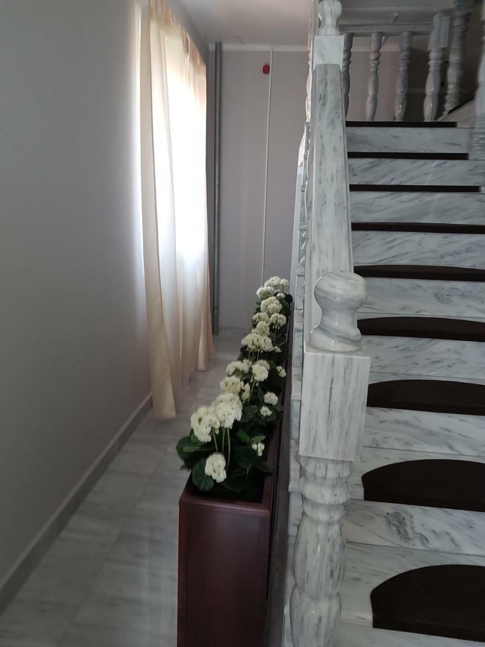Golden Danube Bed and Breakfast Veliko Gradište Εξωτερικό φωτογραφία